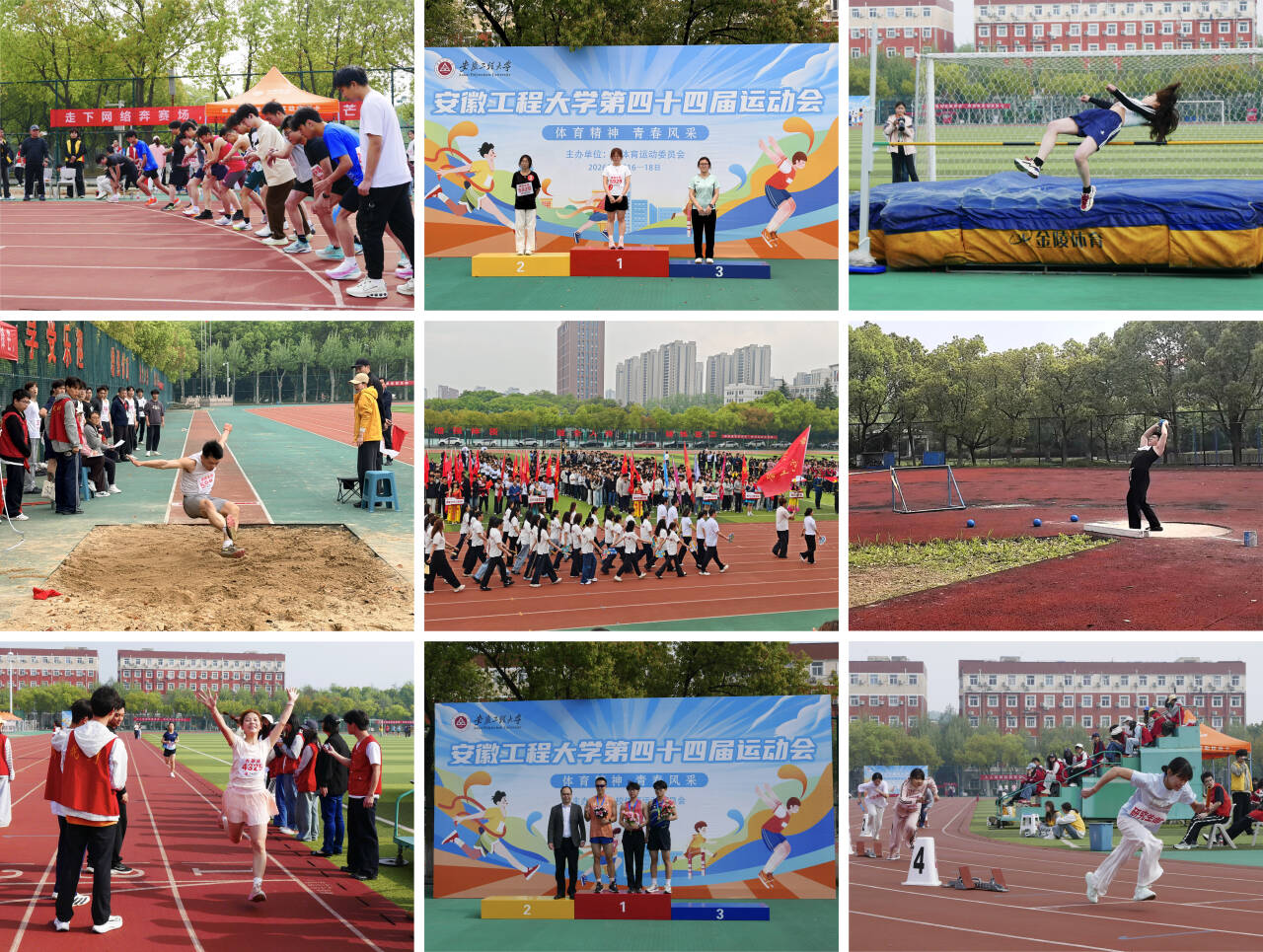 大阳城娱乐app手机版登录(学科(学